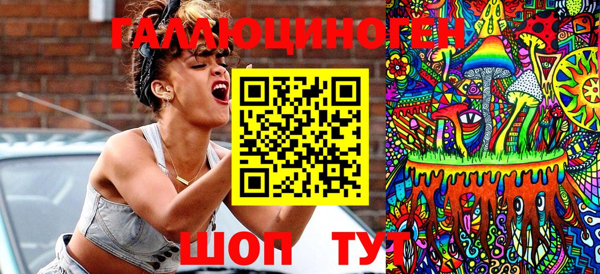 Елабуга  Псилоцибиновые грибы Psilocybe  Вход с VPN 
