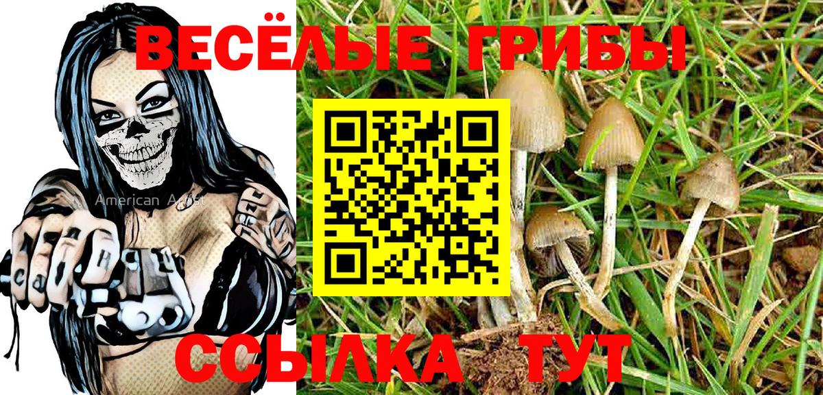 Псилоцибиновые грибы мицелий Елабуга